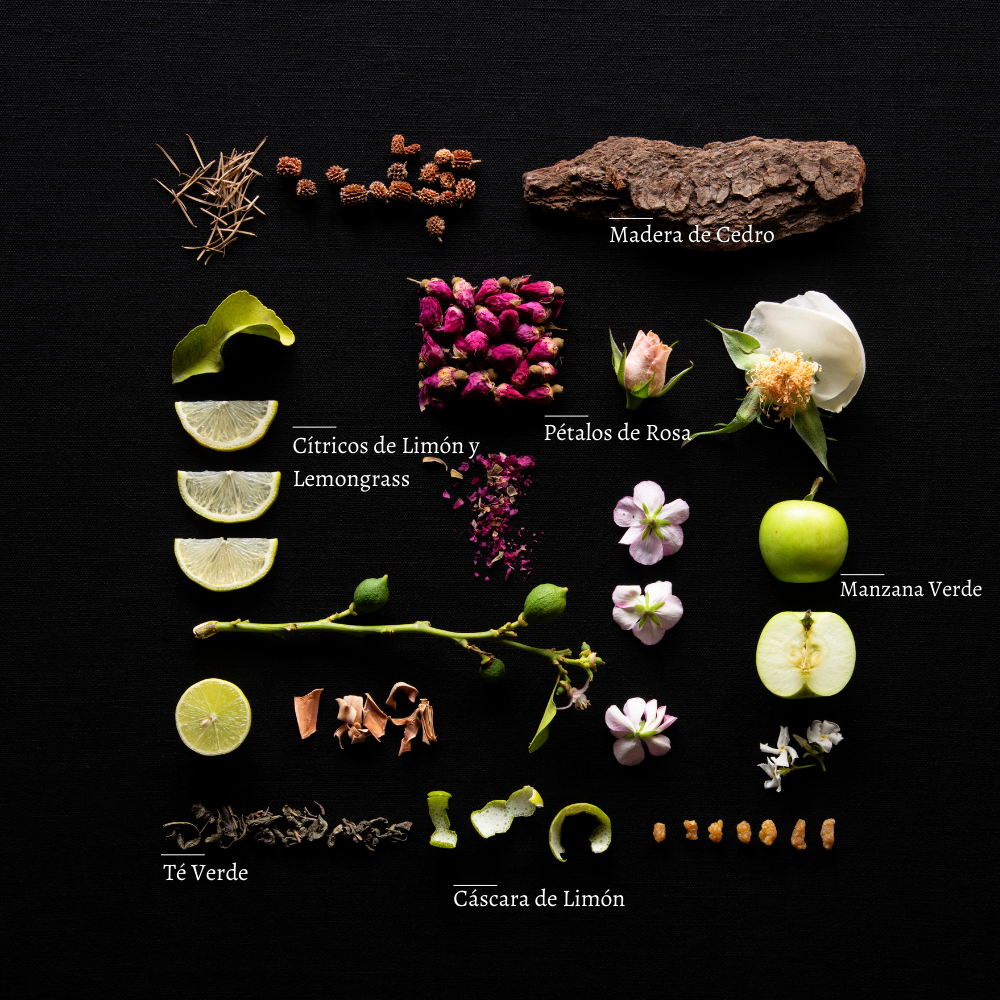 Lemongrass I Green Tea -Difusor de Varillas  | Difusor Ambiental Para el Hogar y la Oficina | Difusor de Aromas y Ambientadores - 150 ml